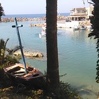 Seprenyi_Reni_del_rey_15